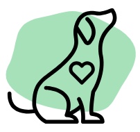 image 1 27 25 at 11.32 am