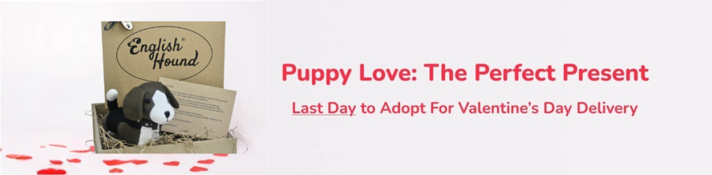 untitled design 1024x252 (1)