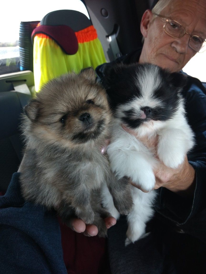 whatsapp image 2026 01 06 at 18.26.34