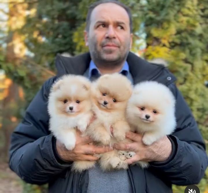 whatsapp image 2026 01 06 at 18.26.37