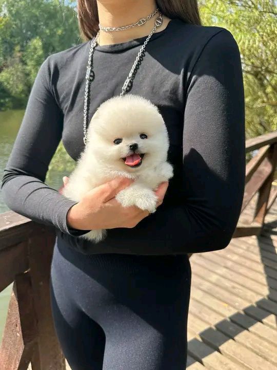 whatsapp image 2026 01 06 at 18.26.38