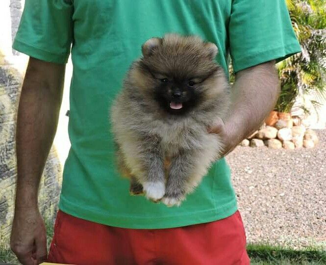 whatsapp image 2026 01 06 at 19.01.10 (2)