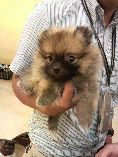 whatsapp image 2026 01 06 at 19.01.13 (1)