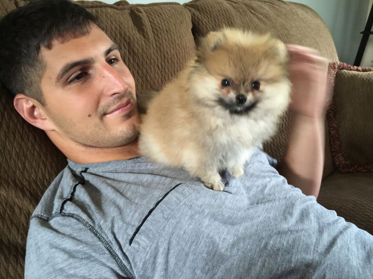 whatsapp image 2026 01 06 at 19.01.13