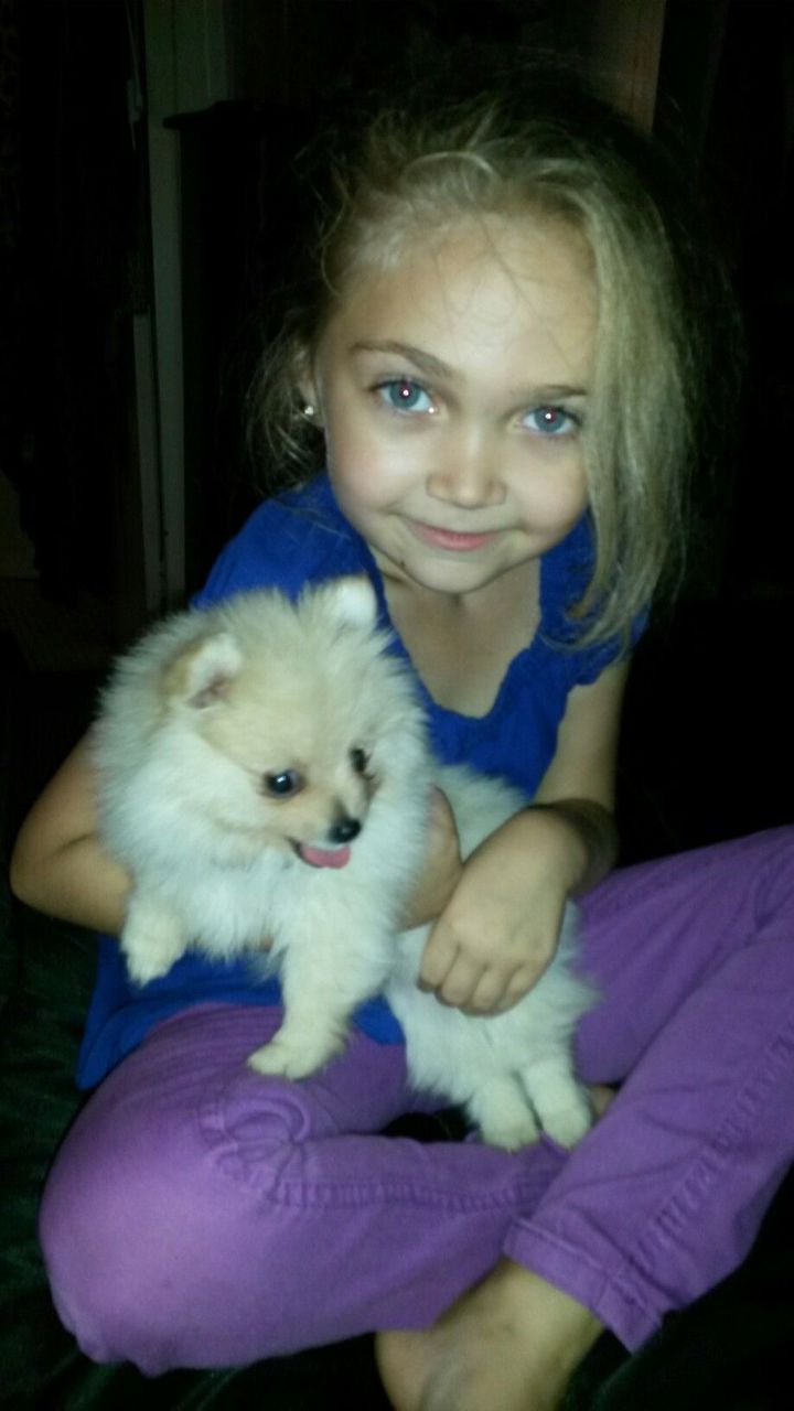 whatsapp image 2026 01 06 at 19.01.15 (1)