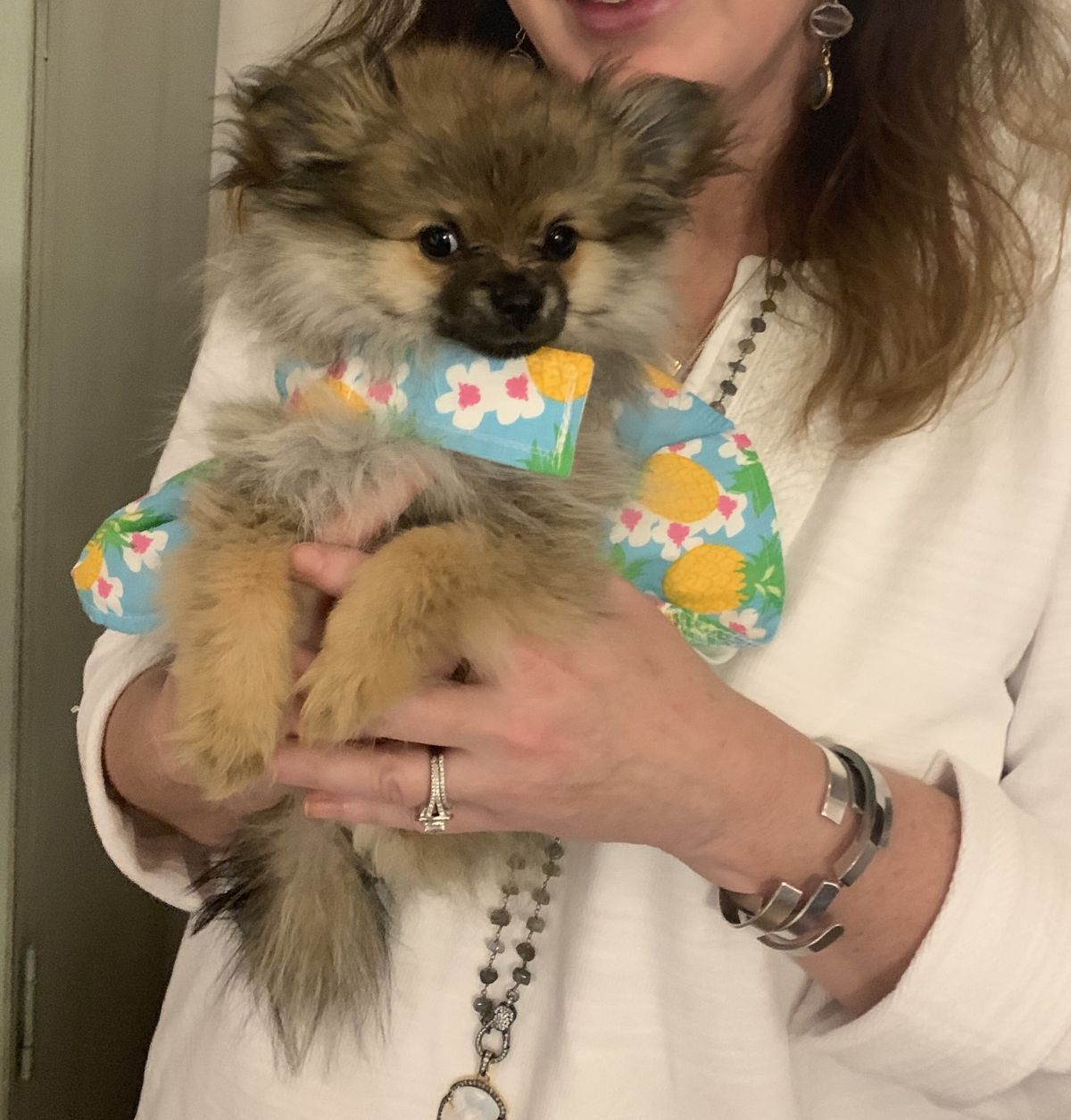 whatsapp image 2026 01 06 at 19.01.15 (2)