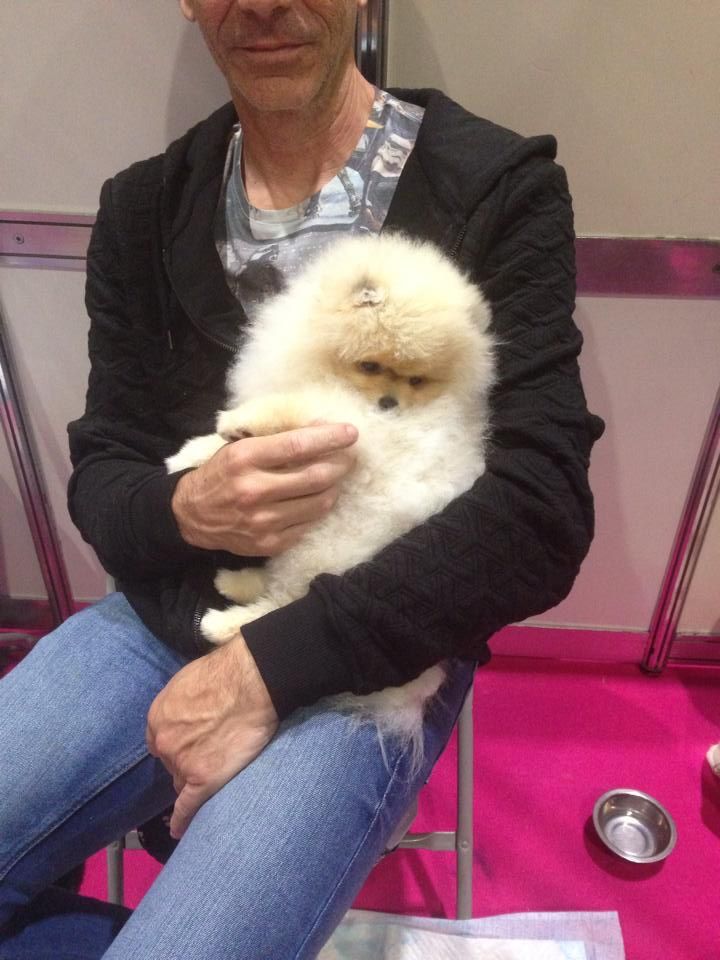 whatsapp image 2026 01 06 at 19.01.15